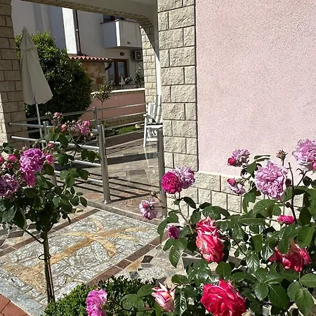 Villa Baldi -Apartmani Danny Tar-Vabriga Exterior foto