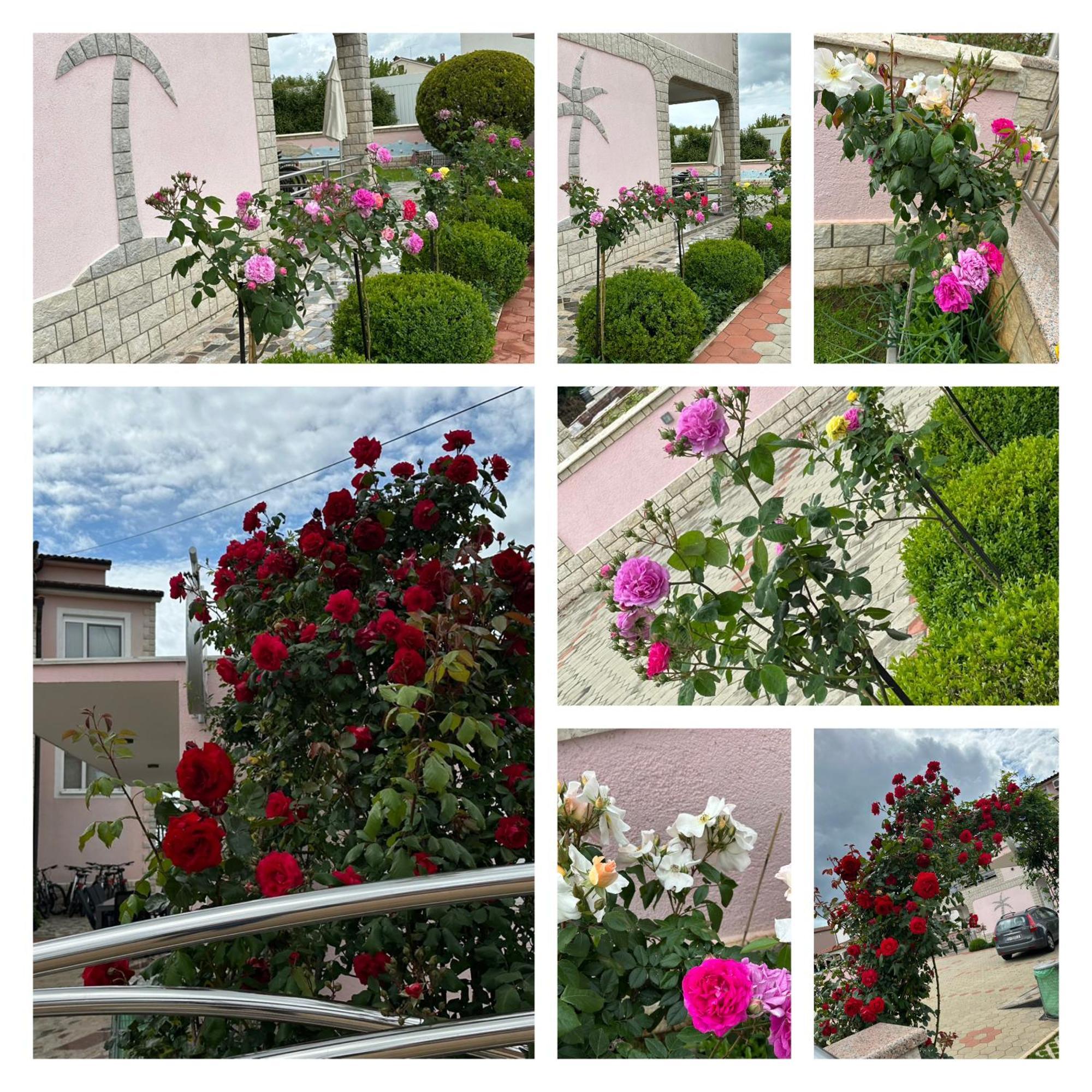 Appartamento Baldi -apartmani Danny