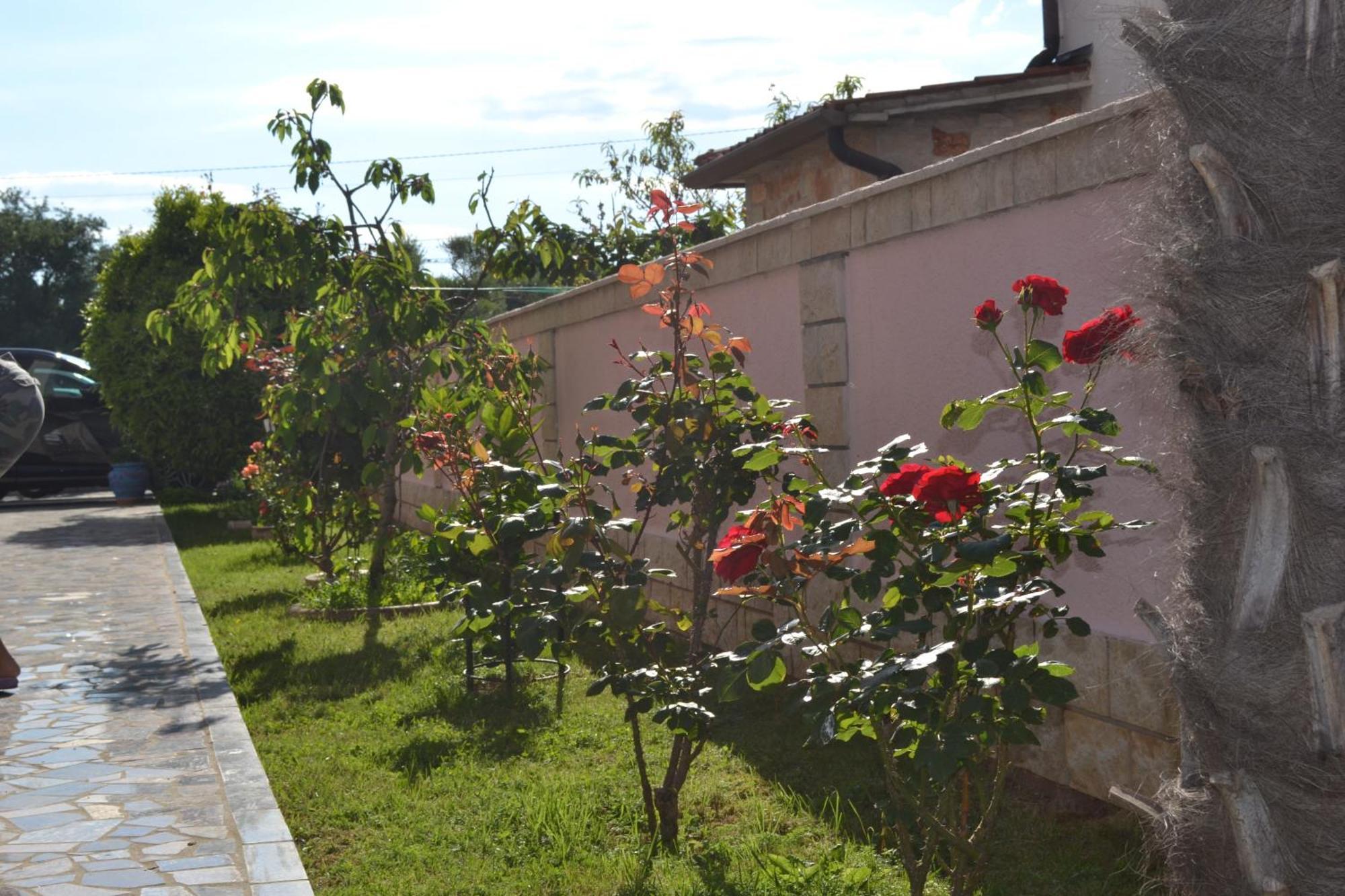 Baldi -apartmani Danny Tar-Vabriga