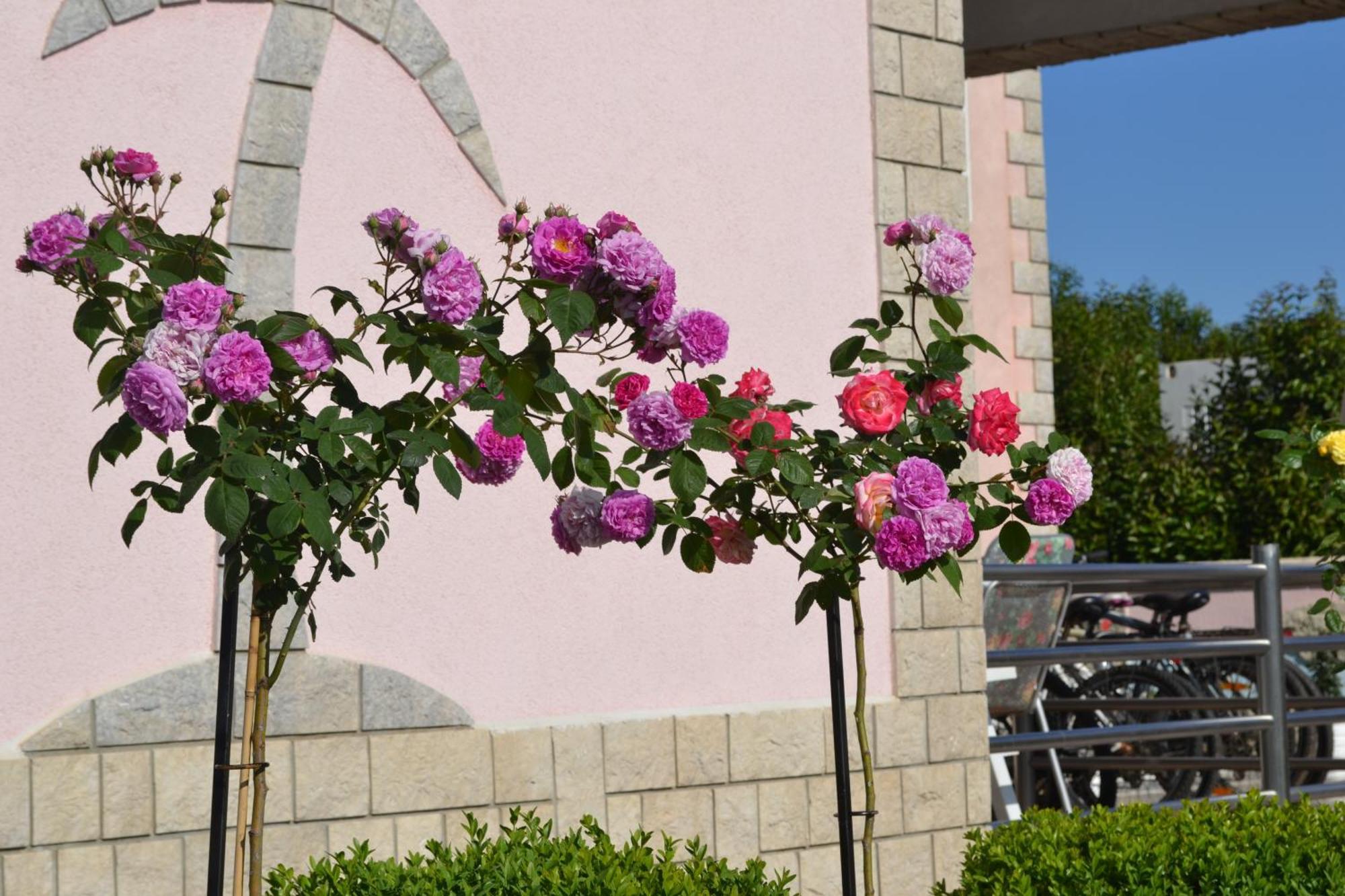 Apartment Baldi -apartmani Danny Tar-Vabriga