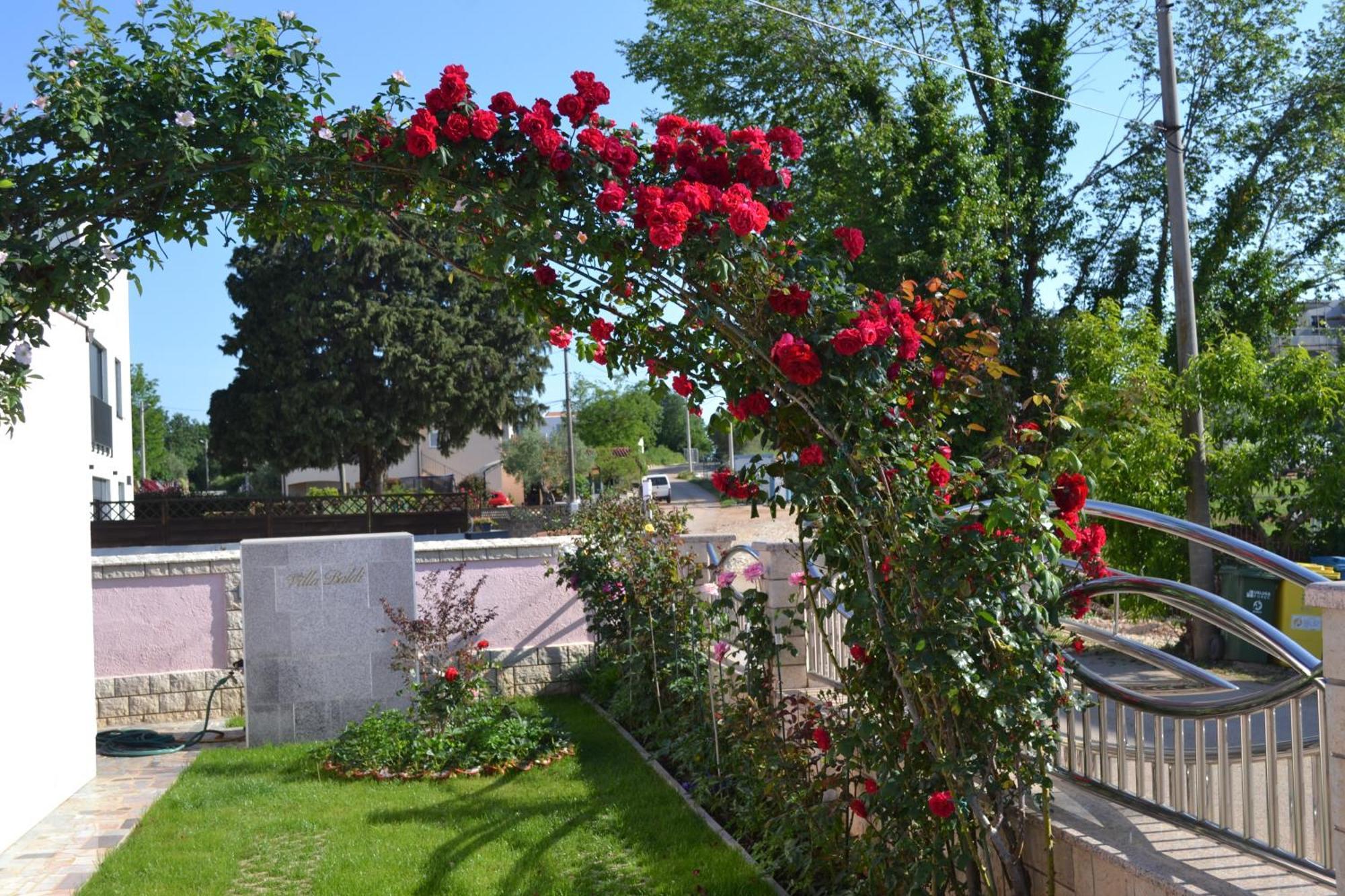 Baldi -apartmani Danny Appartamento Tar-Vabriga